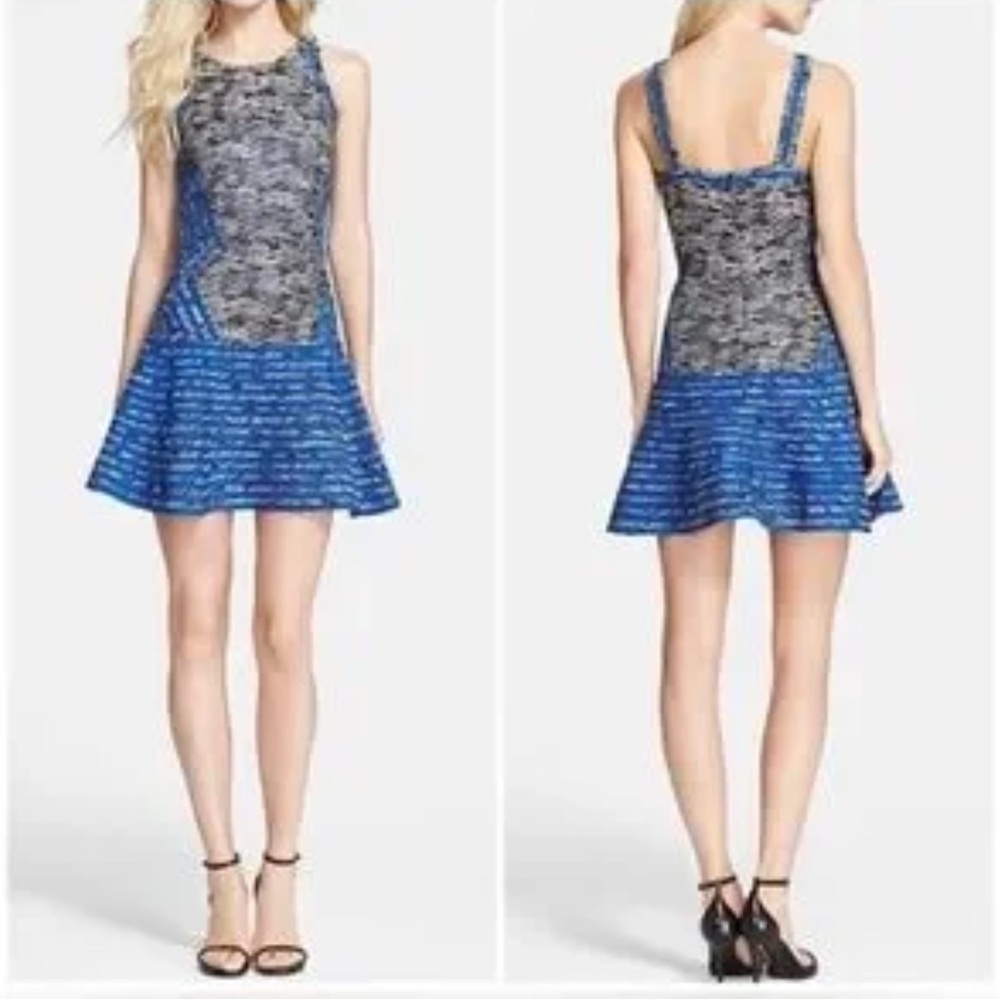 Parker Blue and Black Fit and Flare Mini Dress